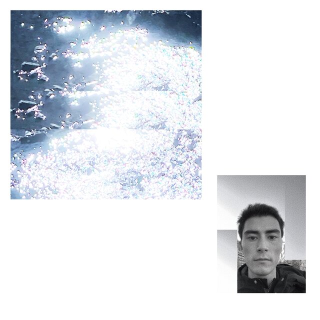 Demos