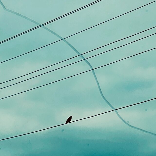 paradigms