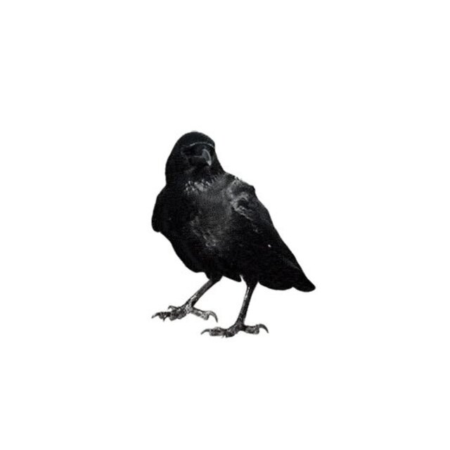 Crows Feet