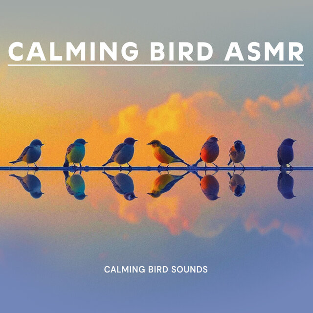 Calming Bird ASMR