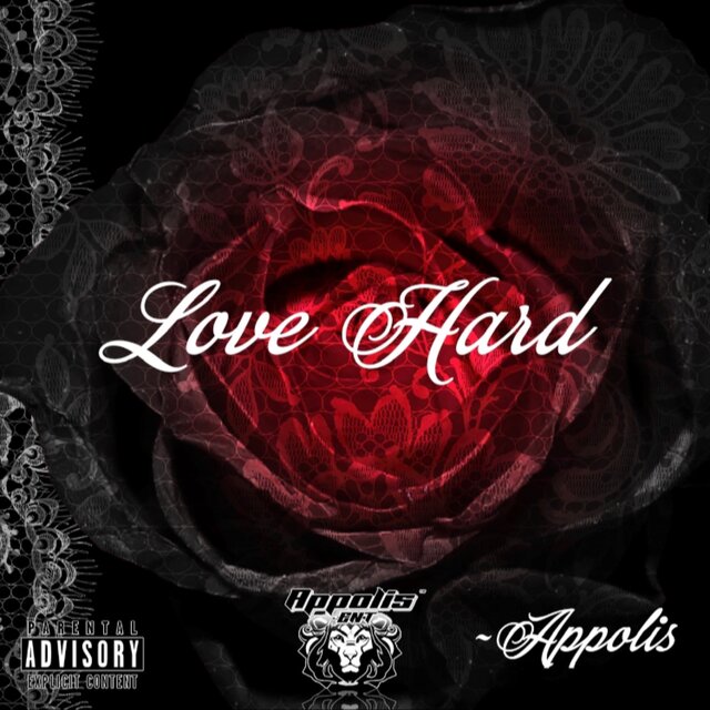 Love Hard