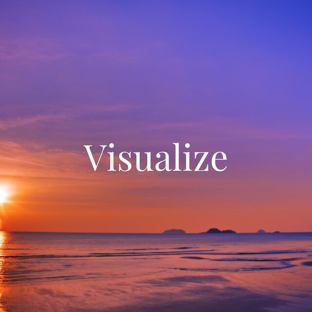 Visualize