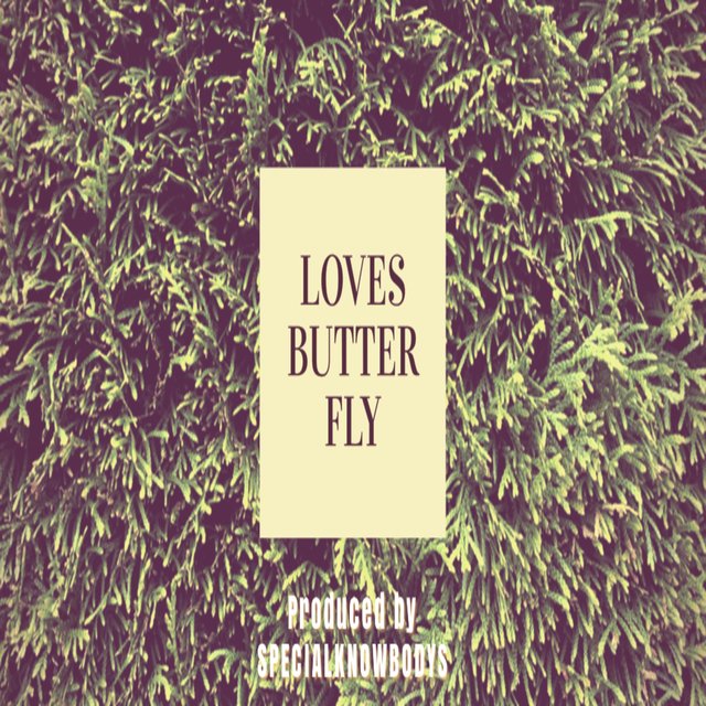 Loves Butterfly