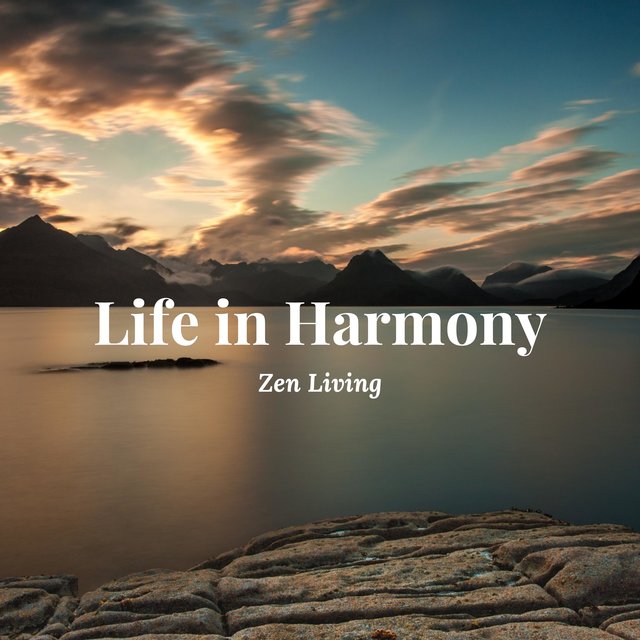 Life in Harmony