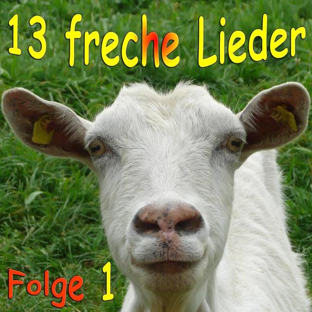 13 freche Lieder Folge 1