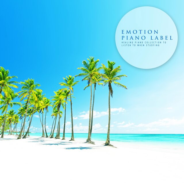 Healing Piano Collection To Listen To When Studying