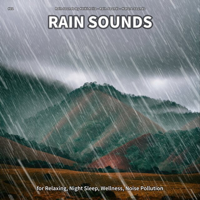 #01 Rain Sounds for Relaxing, Night Sleep, Wellness, Noise Pollution
