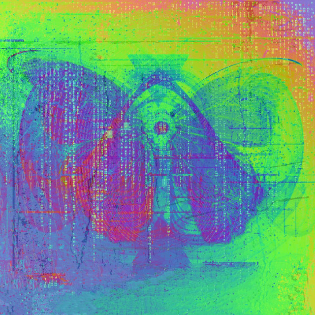 Texturas Inesperadas