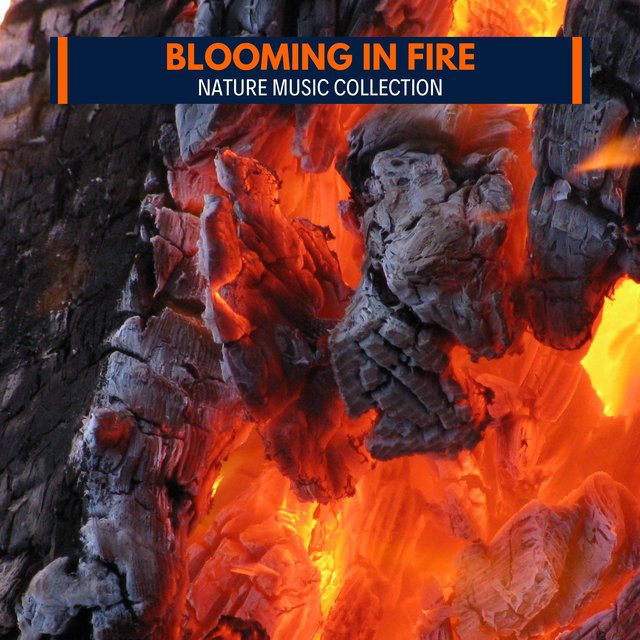 Blooming in Fire - Nature Music Collection