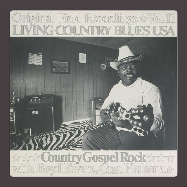 Living Country Blues USA