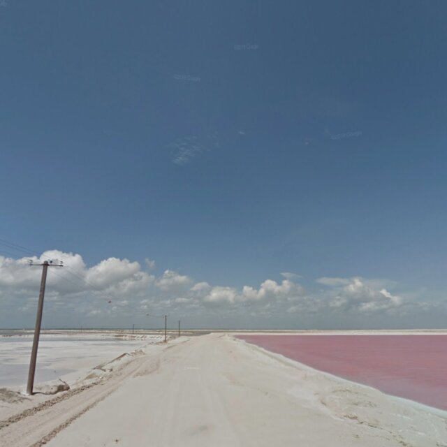 Cover art for album 🌸 by User