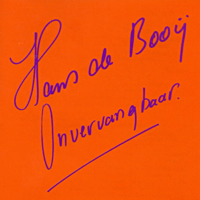 Onvervangbaar