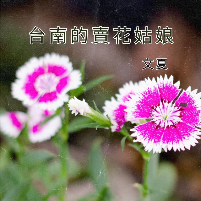 台南的賣花姑娘