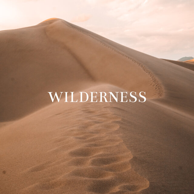 Wilderness