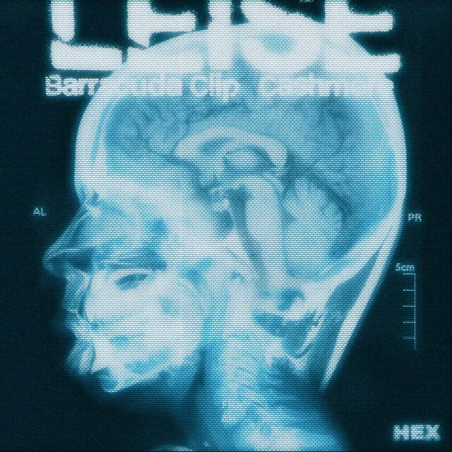 Leise