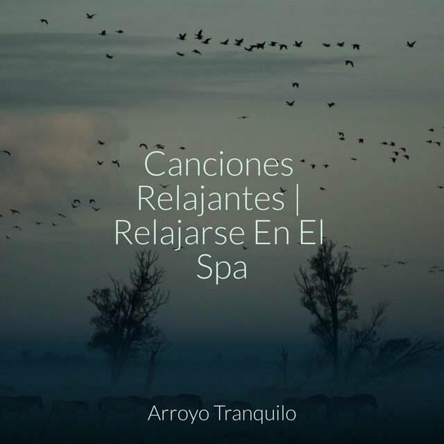 Canciones Relajantes | Relajarse En El Spa