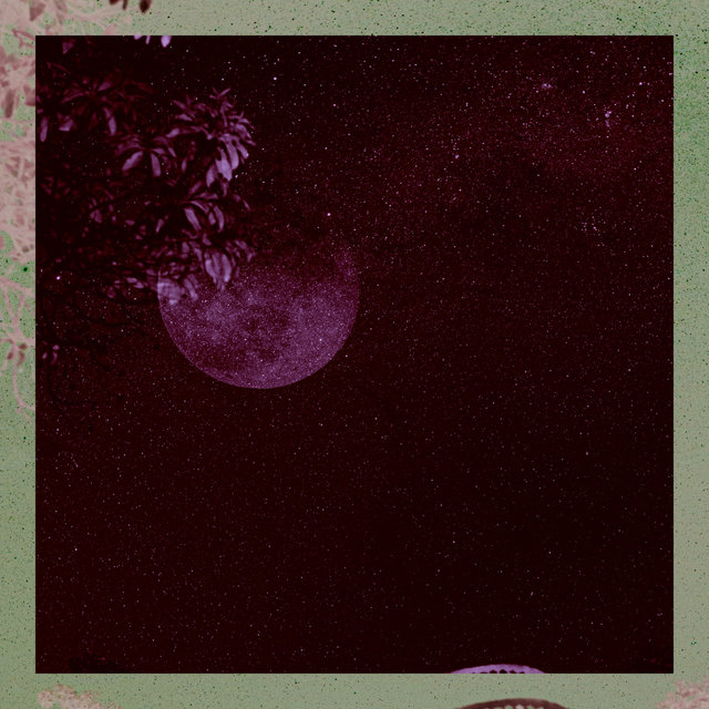 Moonlight