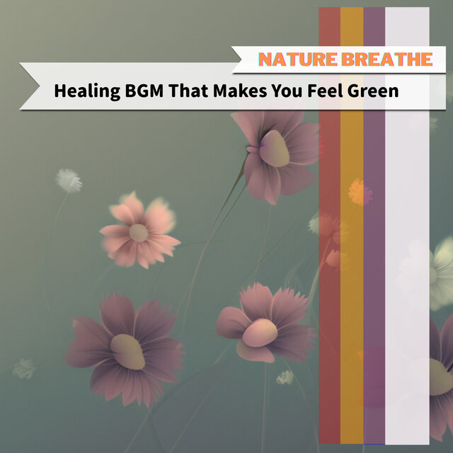 Healing BGM That Makes You Feel Green
