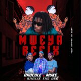 Voltz JT & Tha Bees Mweya (feat. Myke The Gee & Khalix) (Refix)