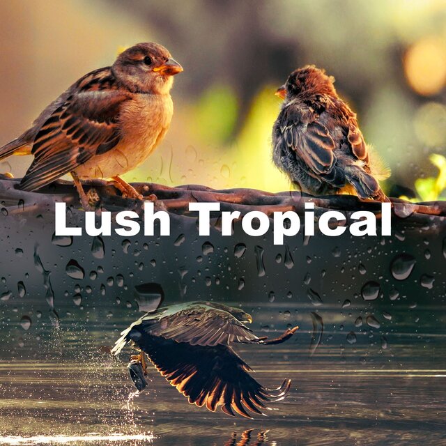 Lush Tropical