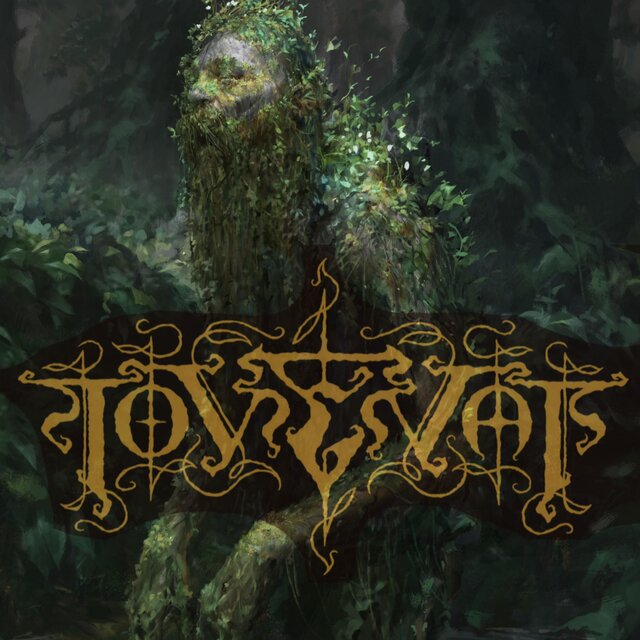 Tovenaar