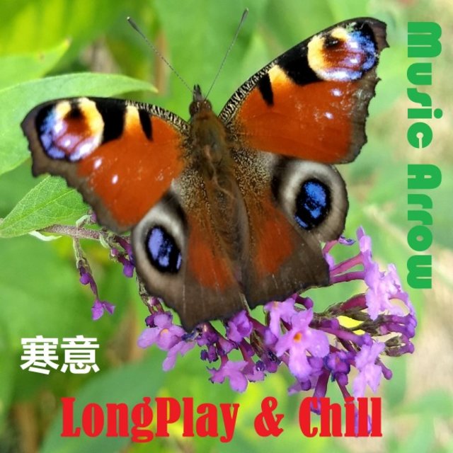 Longplay & Chill