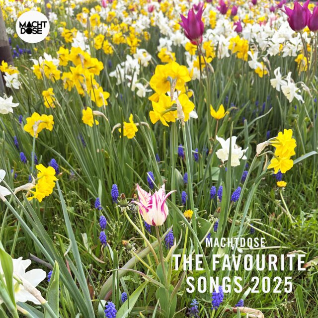 Cover art for album Machtdose - The Favourite Songs 2025 by User