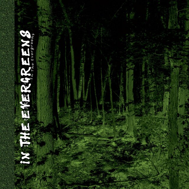 in the evergreens