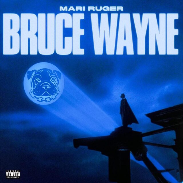 Bruce WayNe