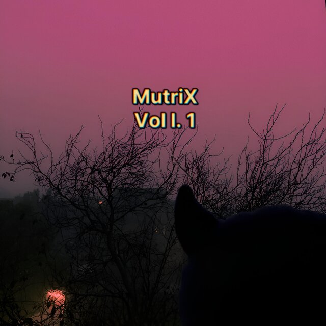 Vol. 1