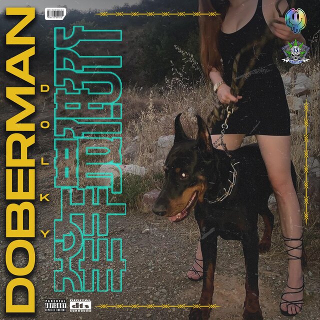 Doberman (feat. Zina Trap)