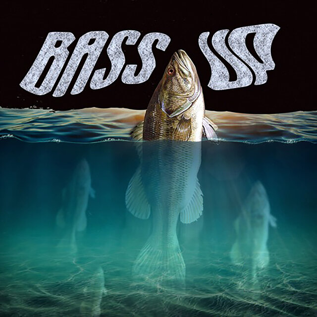 Bass Up!