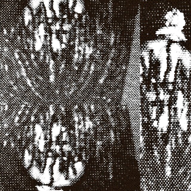 D5