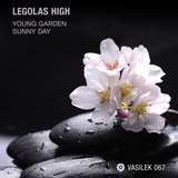 Sunny Day