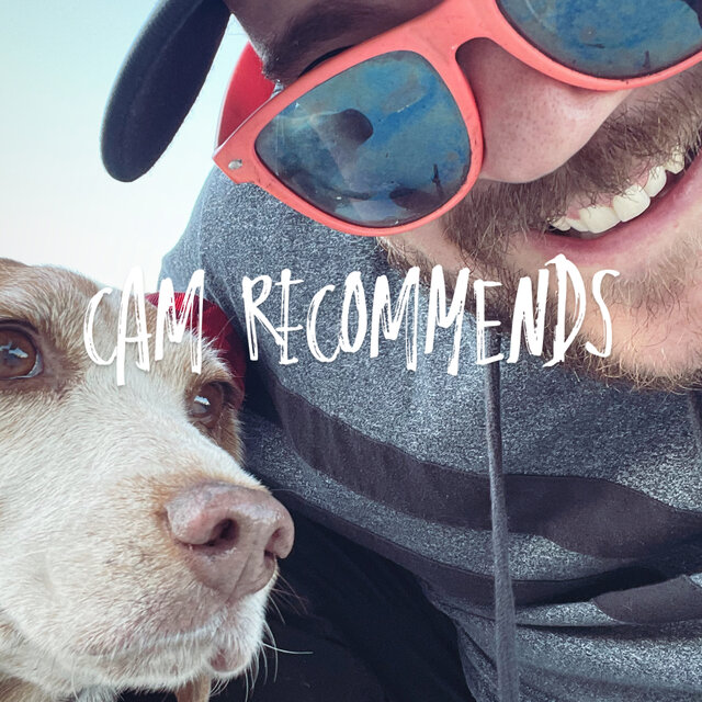 Cover art for album Cam Recommends by User