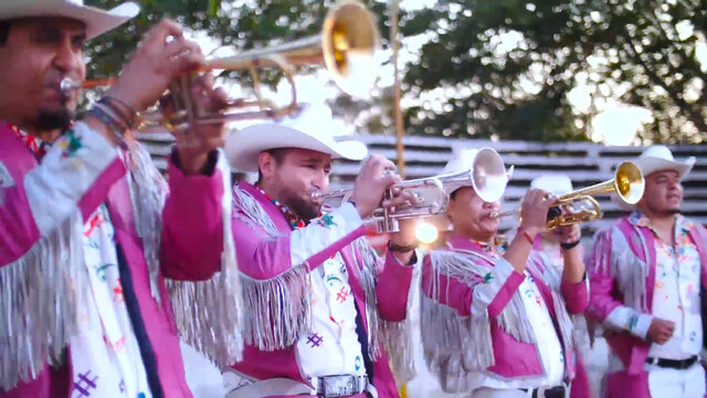 Tumbando Caña