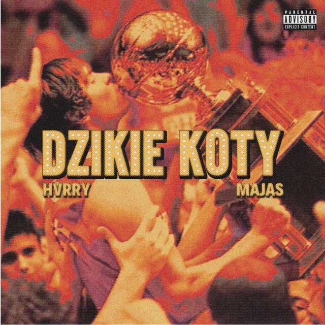 DZIKIE KOTY