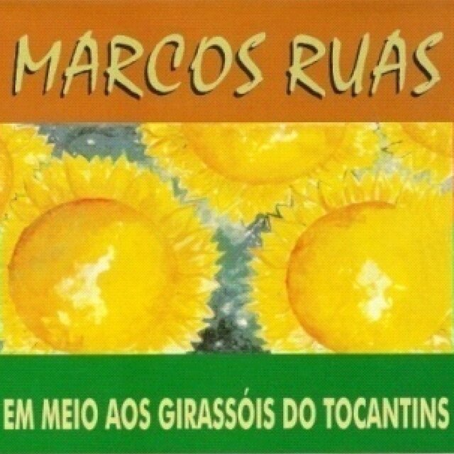 Em meios aos Girassóis do Tocantins