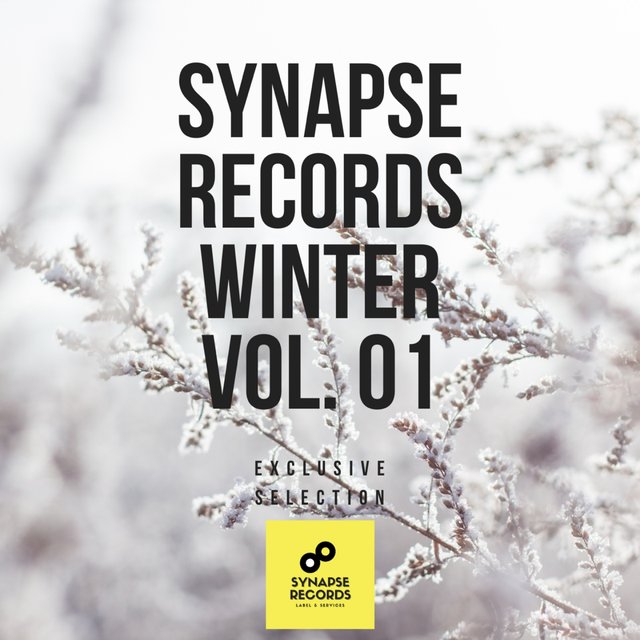 Synapse records winter, Vol. 1 (Exclusive selection)