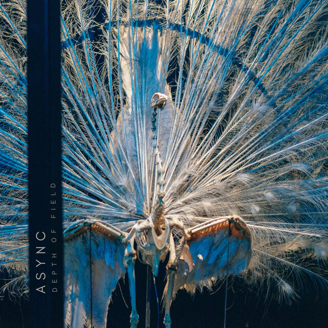 Depth of Field