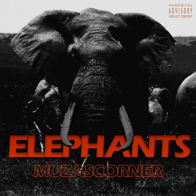 Elephants