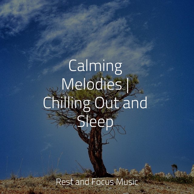 Calming Melodies | Chilling Out and Sleep