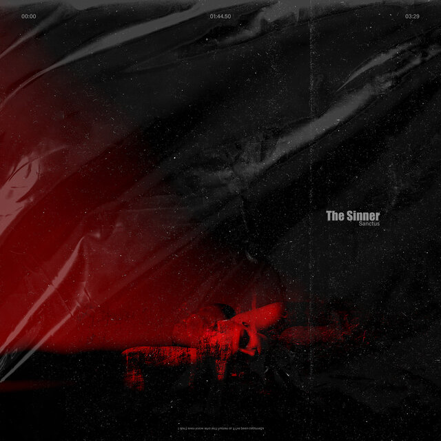 The Sinner