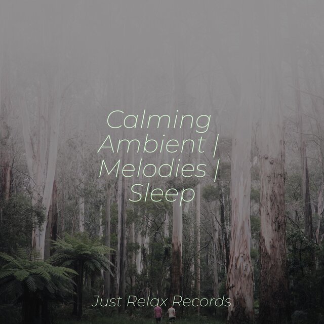 Calming Ambient | Melodies | Sleep