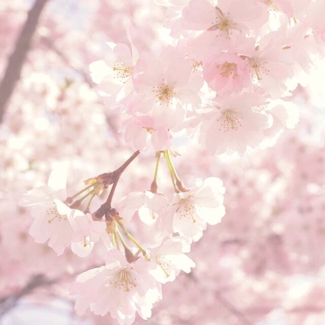 ippaiarigatou ~kokorowokomete~