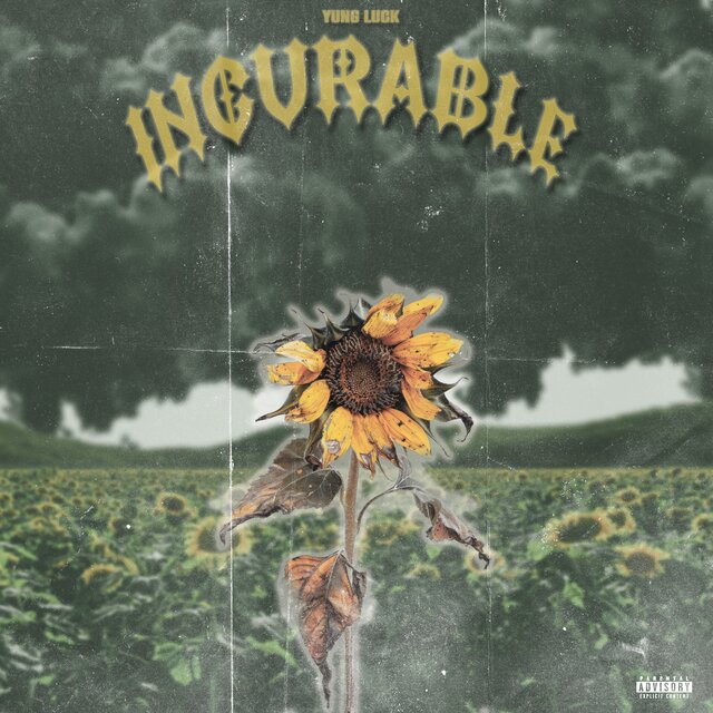 Incurable