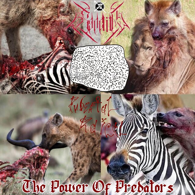 The Power of Predators (Split with M.W.A and Puberty Radical)