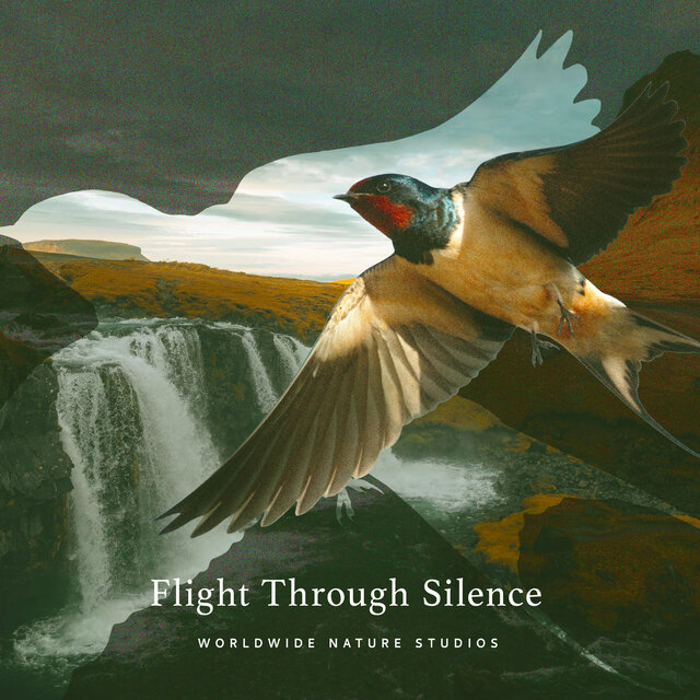 Flight Through Silence