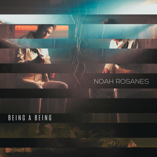 Being A Being