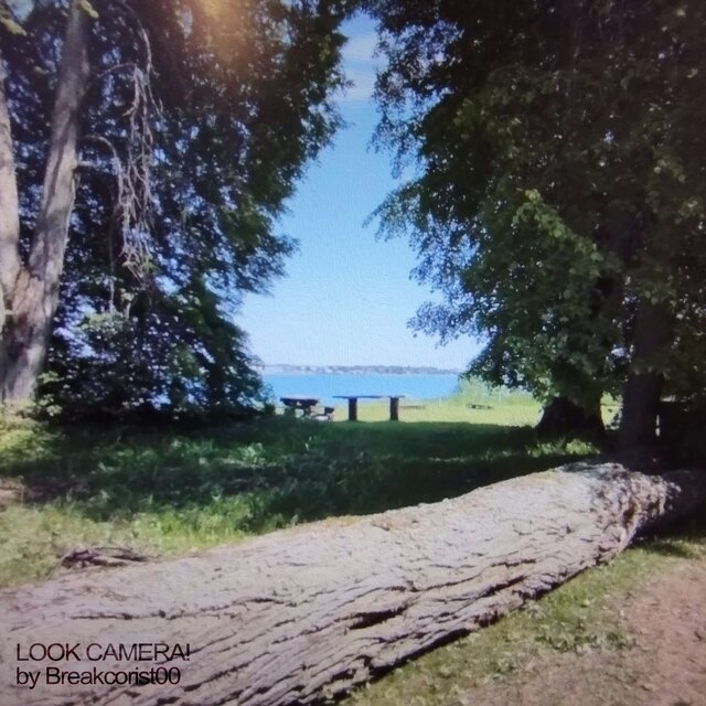 LOOK CAMERA!